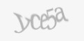 קוד אבטחה